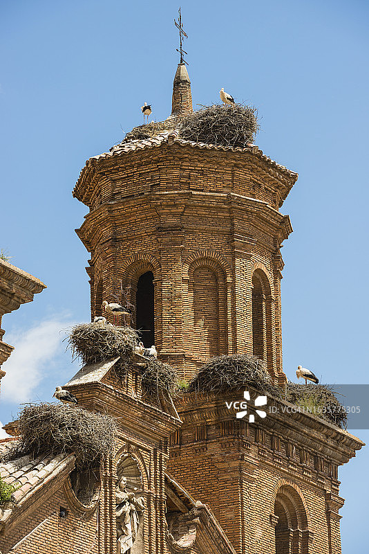 教堂塔楼上的鹳巢图片素材