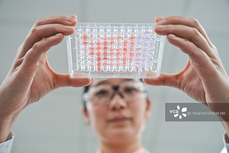 仰视：女科学家在实验室里拿着医疗样品托盘图片素材
