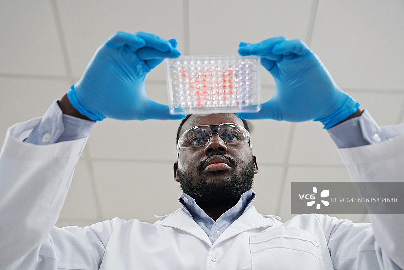 男医护人员在实验室检查托盘中样品的低角度视图图片素材