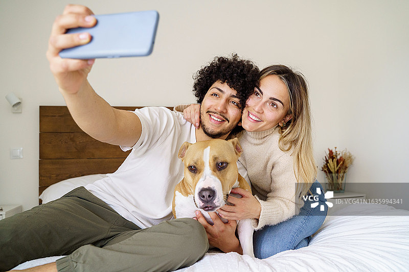 白人女子在家抚摸比特犬工作特写图片素材