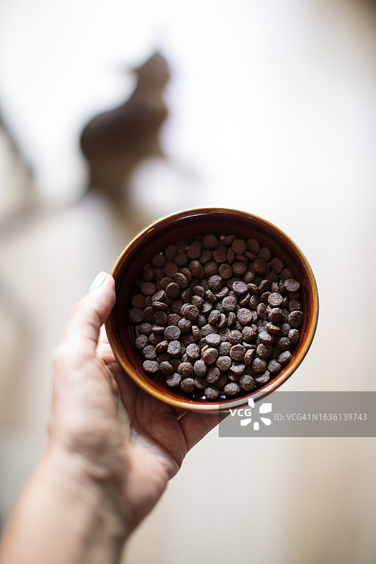 手拿猫粮碗图片素材