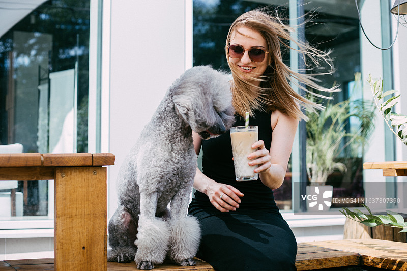 宠物友好户外餐厅里，漂亮的爱狗女士坐在长凳上，给蓬松的灰色贵宾犬递上一杯奶昔图片素材