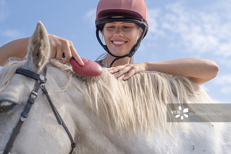 马匹维护图片素材