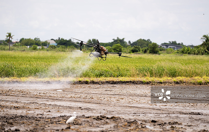 农业无人机向稻田喷洒肥料图片素材