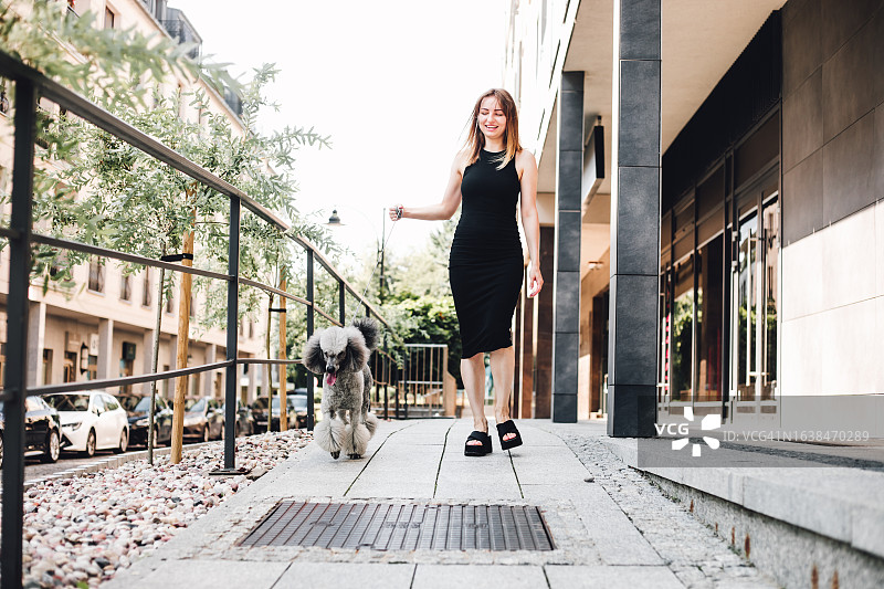 快乐的女遛狗者在市中心遛蓬松的灰色贵宾犬，欣赏城市风光图片素材