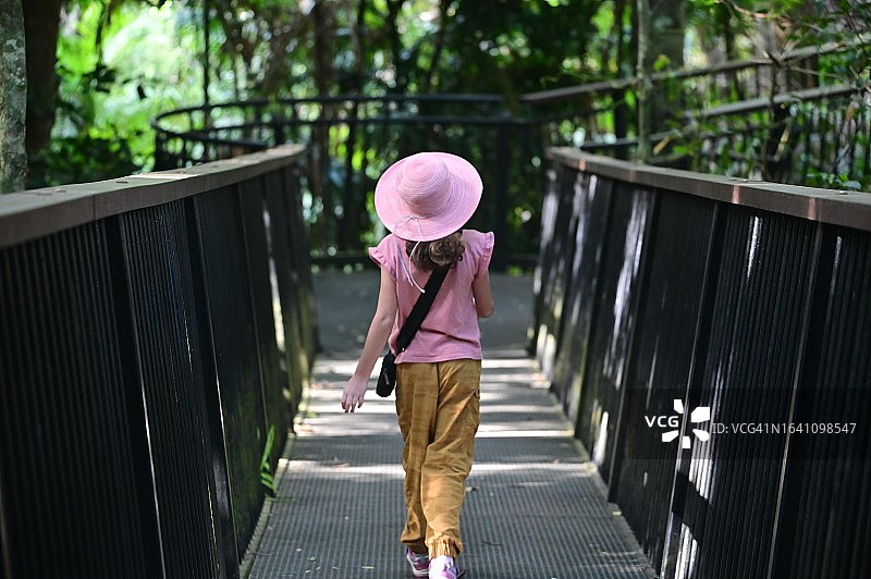 澳大利亚昆士兰州丹翠雨林莫斯曼峡谷图片素材