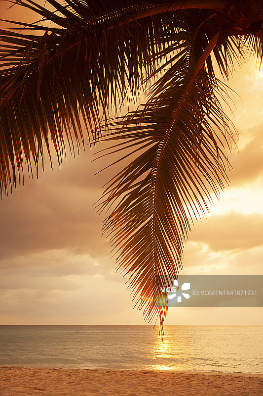 日落时分的热带海滩图片素材