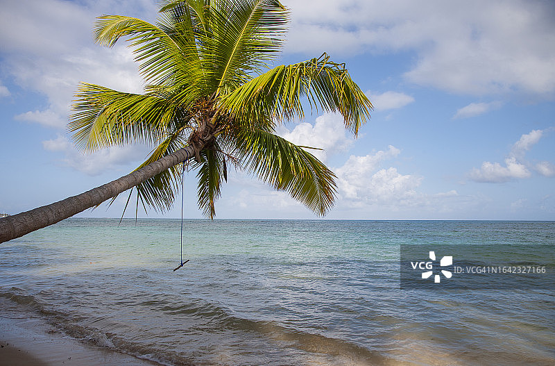 热带海滩棕榈树上的秋千图片素材