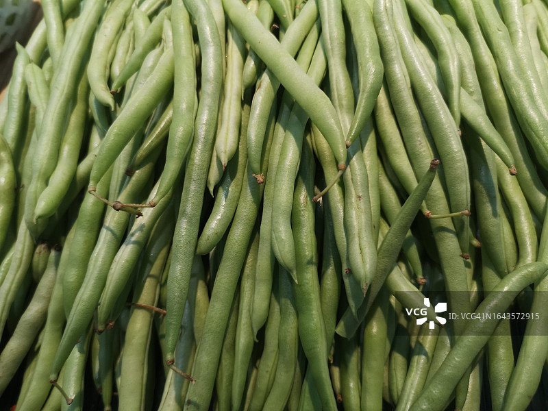 堆叠的绿色小扁豆图片素材