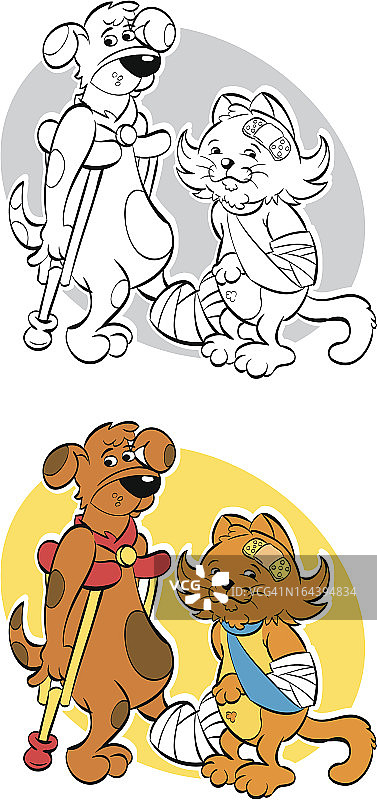 温顺的动物图片素材