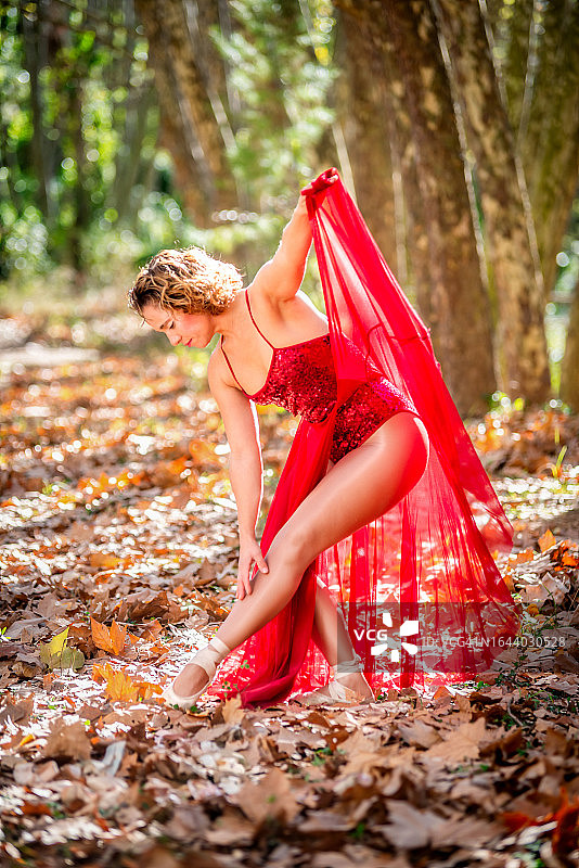 在森林里跳舞图片素材