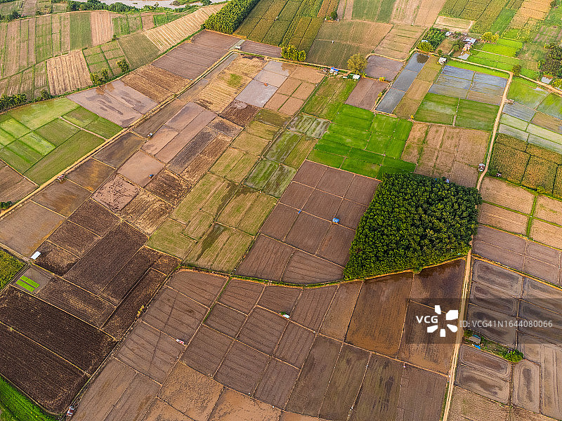 雨季稻田航拍：准备插秧图片素材