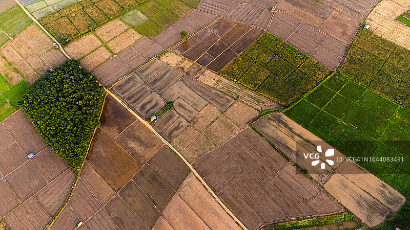 北方乡村稻田水稻耕作准备航拍图片素材