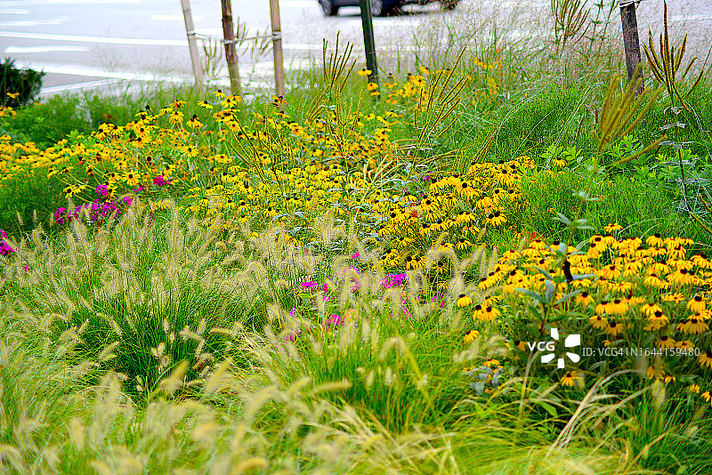 授粉花园图片素材