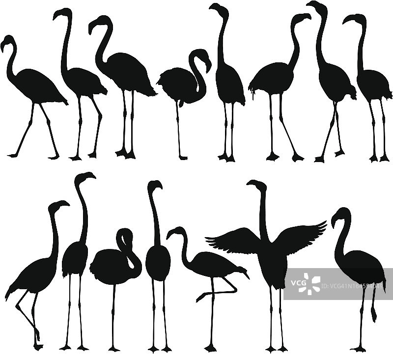 火烈鸟剪影图片素材