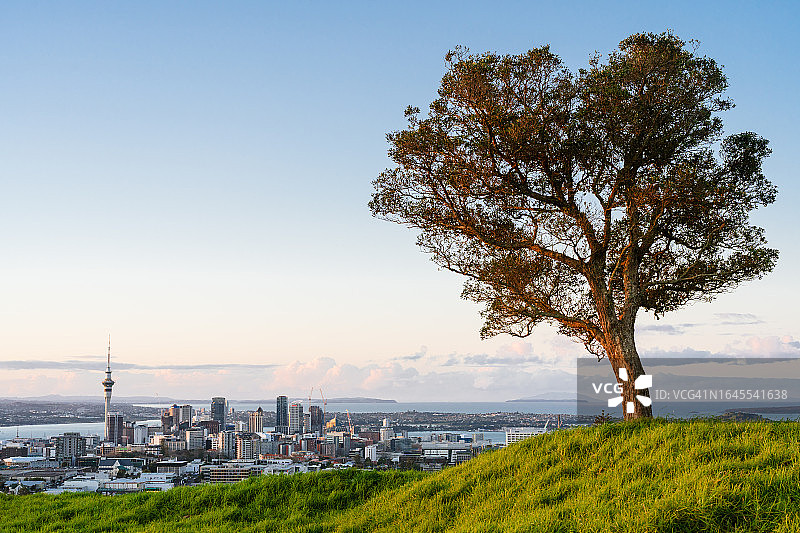 奥克兰城市天际线图片素材