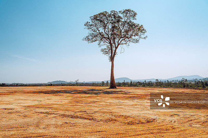 柬埔寨戈公岛机场建设中的土地清理图片素材
