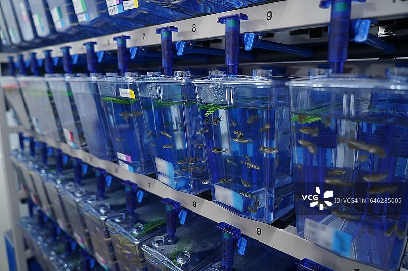 法国国家健康与医学研究所1047号研究单位图片素材