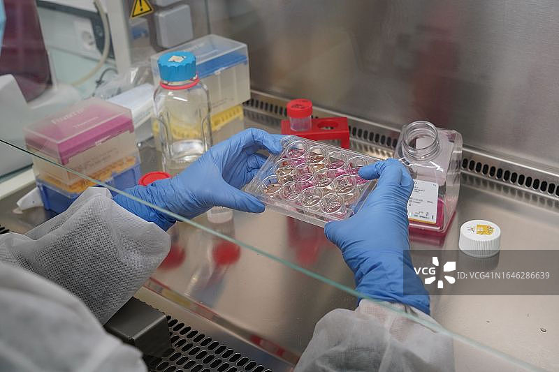 法国国家健康与医学研究所1047号研究单位图片素材