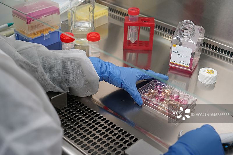 法国国家健康与医学研究所1047号研究单位图片素材