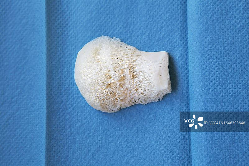 生物样本库图片素材