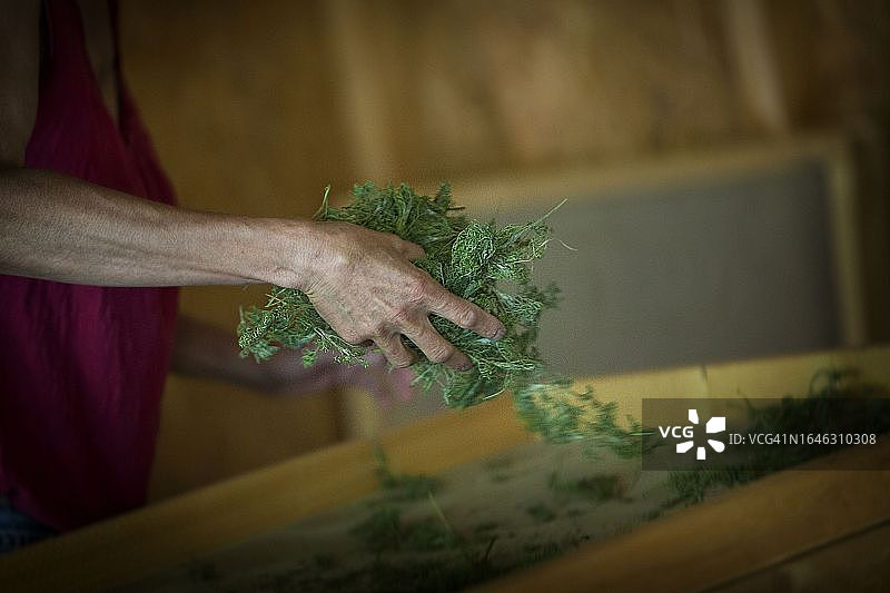 火绳枪图片素材