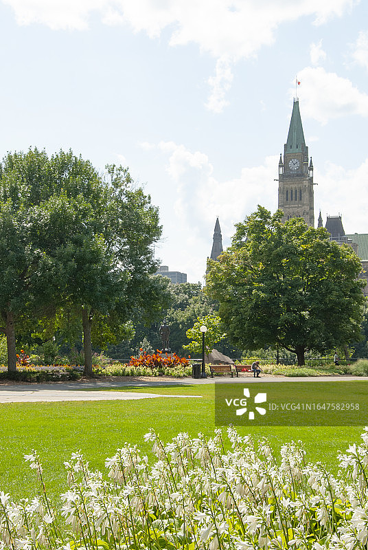 渥太华议会大厦，和平塔，夏季图片素材