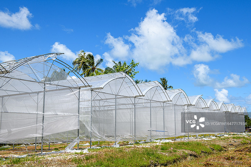 建造中的温室图片素材