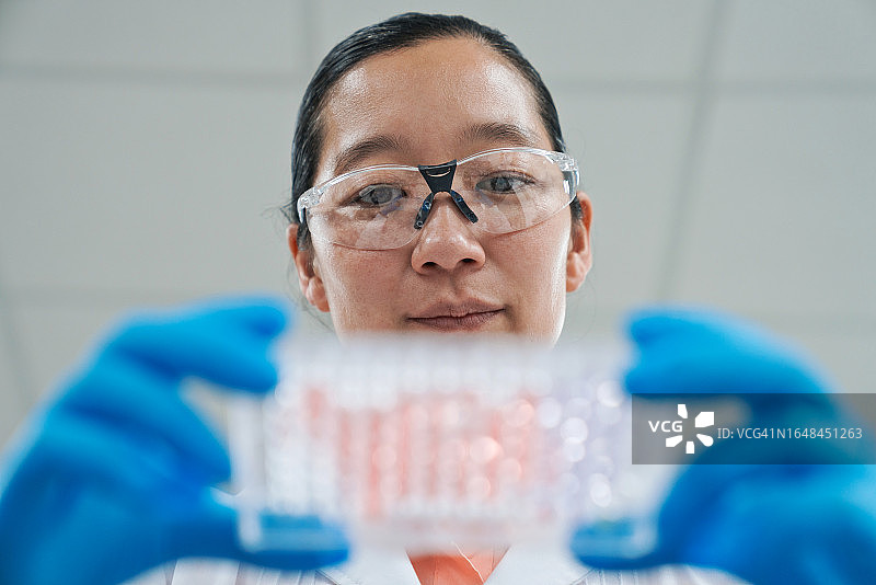 仰视：女科学家在实验室里拿着医疗样品托盘图片素材