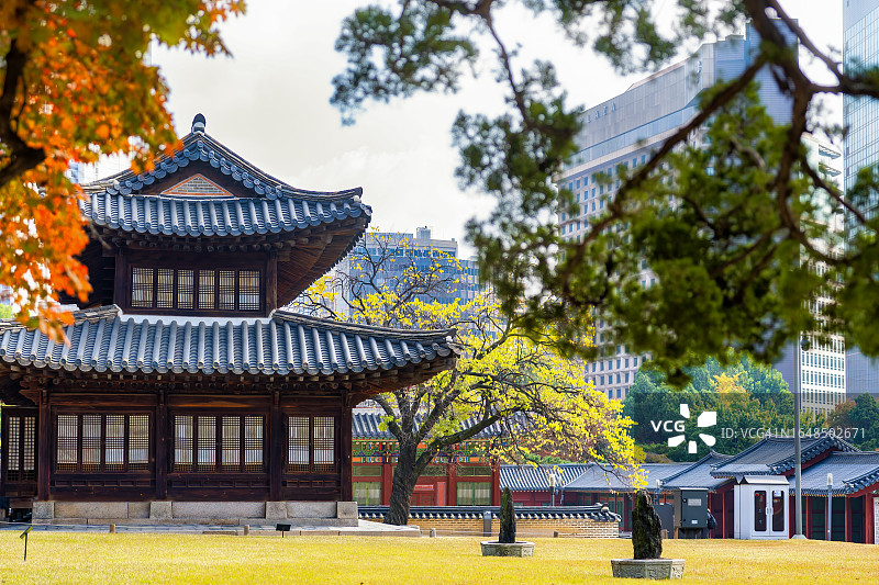 秋天的德寿宫，韩国首尔旅游胜地图片素材