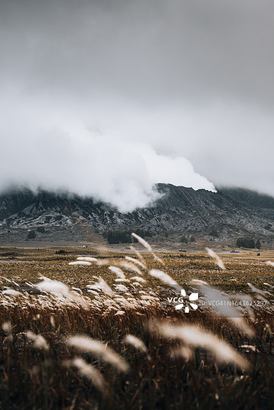 印度尼西亚东爪哇岛布罗莫火山图片素材