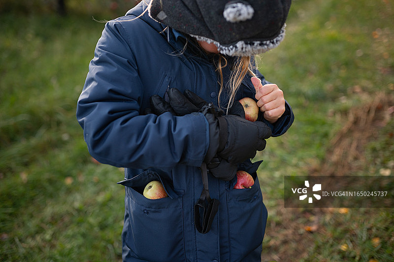 穿着冬装在口袋里收集苹果的男孩图片素材