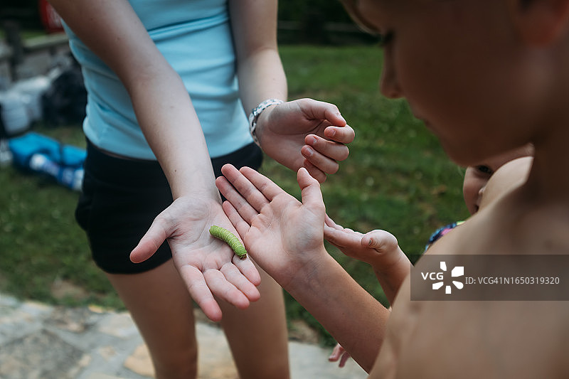 孩子们拿着并观察绿色毛毛虫图片素材