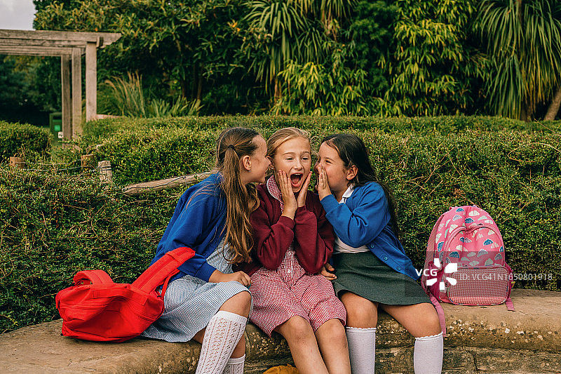 在公园里聊天的女学生图片素材