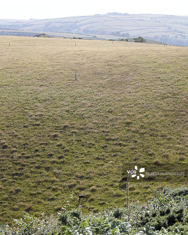 埃克斯穆尔 2图片素材