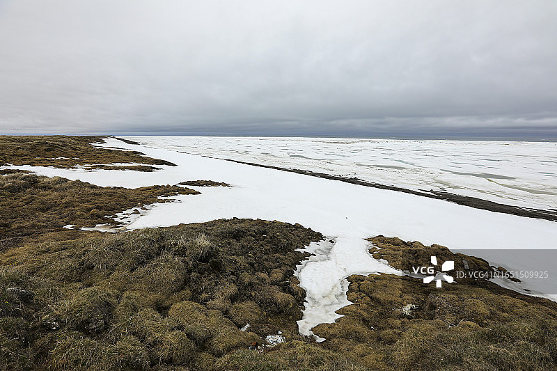 波弗特海的夏季浮冰图片素材