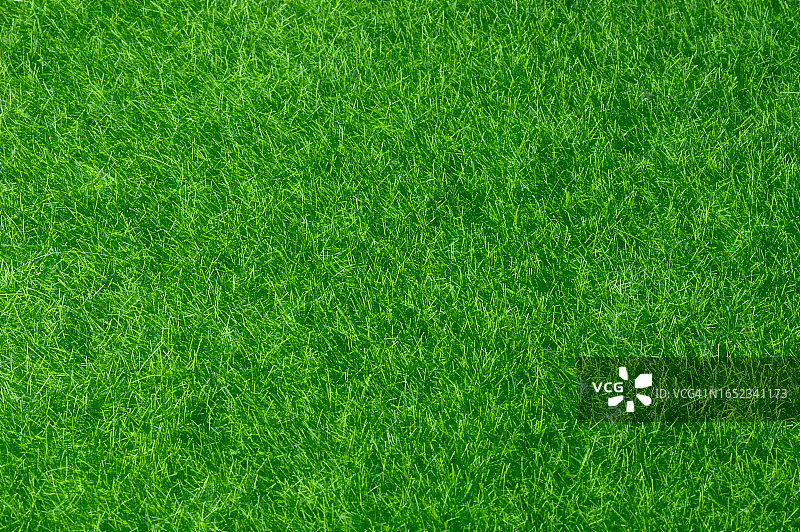 人造草皮纹理背景图片素材