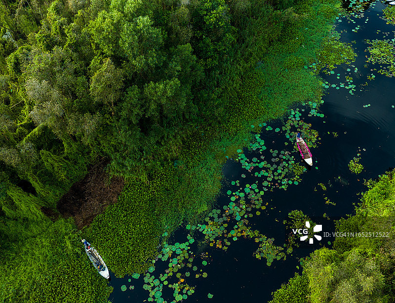 隆安省陈立湿地生态旅游区图片素材