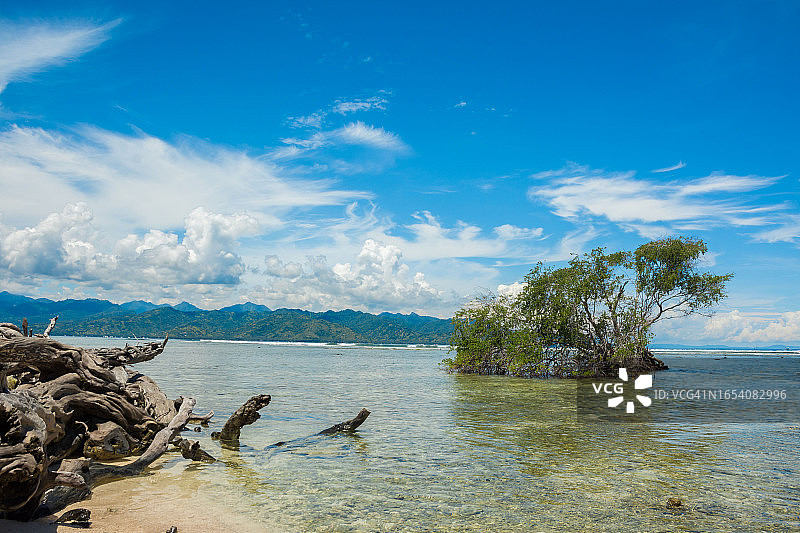 海中央的树与木块图片素材