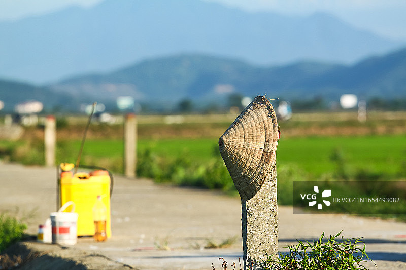 越南绿色稻田的农业活动图片素材