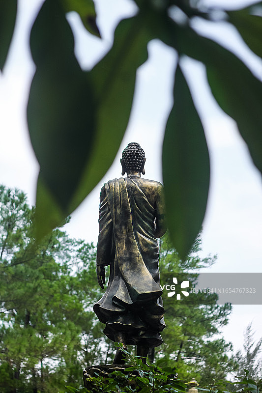 透过树叶枝条看到的站立佛像图片素材