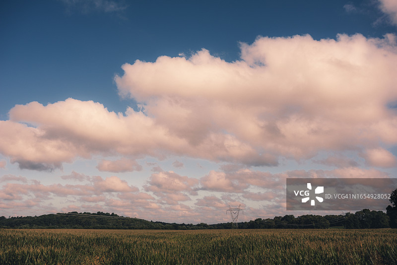 印第安纳州戈斯波特的玉米田待收图片素材