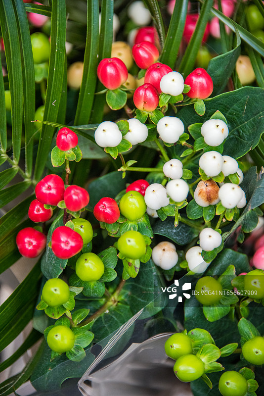 花卉市场上出售的圣约翰草图片素材