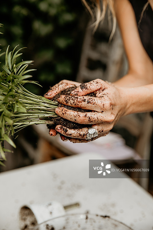 园艺花艺：苔玉体验图片素材