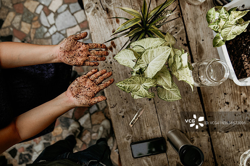 园艺花艺：苔玉体验图片素材