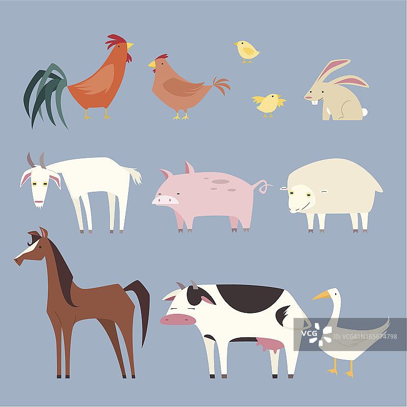 农场动物合集图片素材