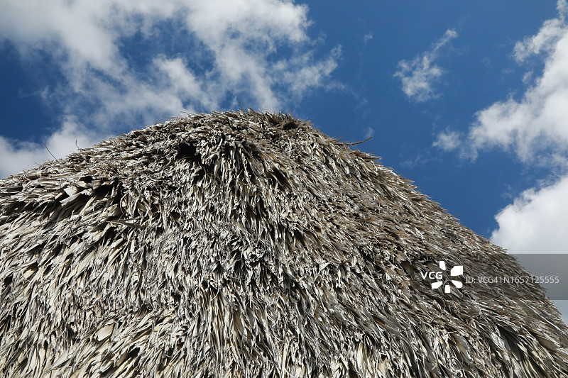 加勒比茅草小屋悬挂棕榈树的特写图片素材