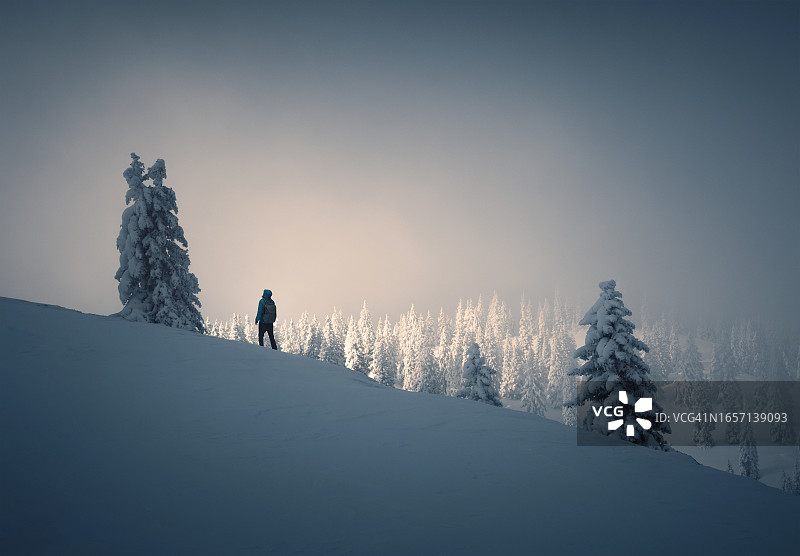 冬天走了图片素材