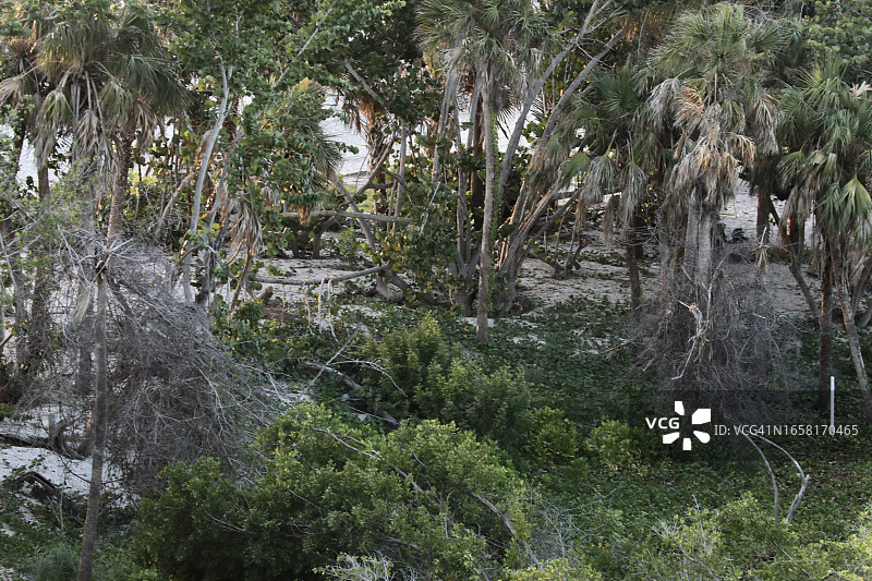 热带岛屿风光图片素材