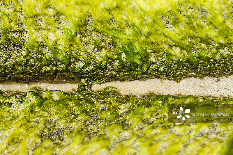 2015年越南会安市岱海滩被侵蚀图片素材